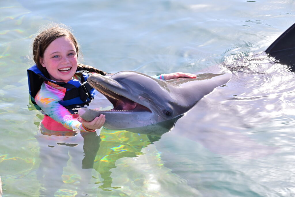 swimming with dolphins at xel ha