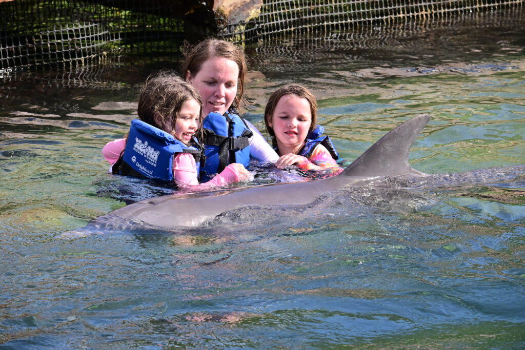 swimming with dolphins at xel ha